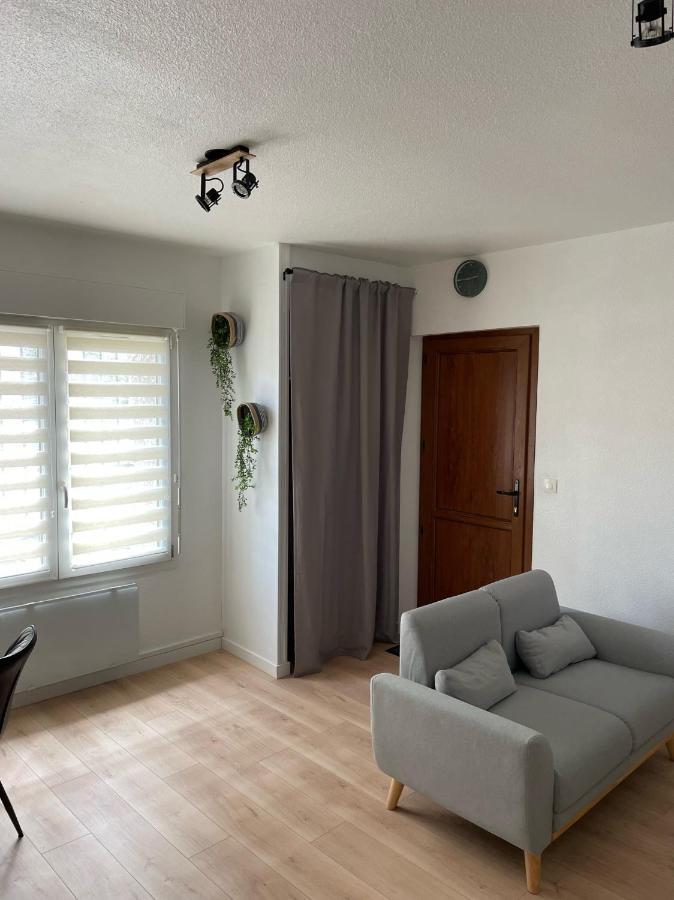 Appart Avec Chambre Lumineux Et Chaleureux Le Boulou Exterior foto